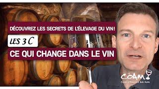 Découvrez comment l'élevage transforme le vin, avec "les 3 C"