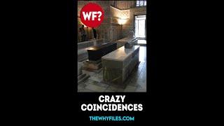 Crazy Coincidences 06 - The Why Files #shorts