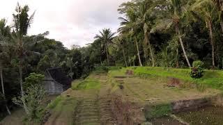 Ubud - Sayan House