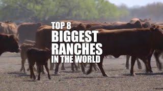 The top 8 biggest luxury ranches in the world #king ranch