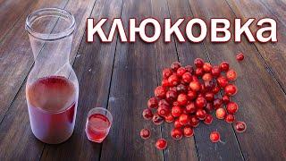 Клюковка по Сибирский!!! Рецепт Настойки на Клюкве от Канала Свой Среди Своих Кулинария