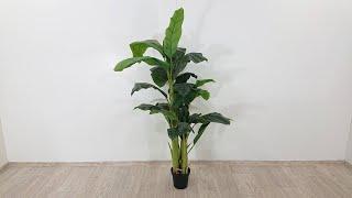 Dekorativní rostlina Banana Tree 180 cm Kare