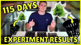 115 Day Aquarium Moss Growth Experiment Results