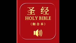 和合本圣经 • 诗篇 | Chinese Union Version Bible • Psalms