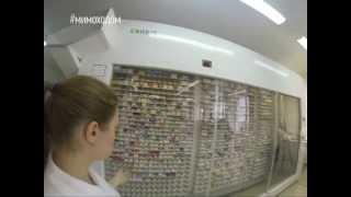Мимоходом 24 июля