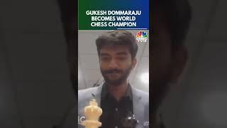 D Gukesh Is The World Chess Champion! | N18S | CNBC TV18