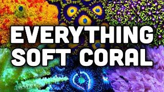 Soft Corals in Reef Tanks! Easy to Grow, Colorful, and Hardy!