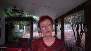 How Play is Vital to Happiness - Sandy Weaver, motivational keynote speaker
