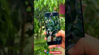 Vivo T3x 5G Video Camera Test #viral #vivot3x5g #vivot3x5gcameratest