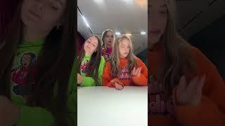 Бобер и у нас