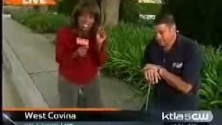 American Leak Detection featured on KTLA