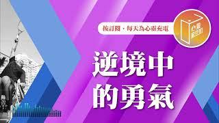 打不倒的是你嗎？！【#心靈蜜豆奶】逆境中的勇氣/劉群茂_20250102