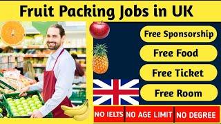 UK Fruit Picking Jobs with Visa Sponsorship 2023 - UK Seasonal Work Visa