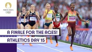 An Unforgettable Finale on the Track! | Athletics Day 15 | #Paris2024