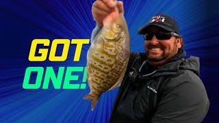 8 hours of surf fishing with Hookupbaits owner. Striper and surf perch. It was a grind!