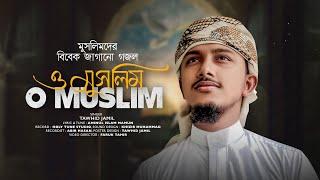 সময়ের সেরা বিবেক জাগানিয়া গজল । O Muslim । ও মুসলিম । Tawhid Jamil । ইসলামিক গান 2024