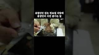 유럽인들만 있는 찐로컬 식당에 동양인이 혼밥하면 생기는 일