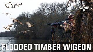 Hunting ducks in a backwater slough!!! (Flooded Timber)