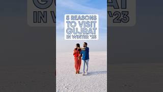 5 Reasons you MUST visit Gujarat this winter! 