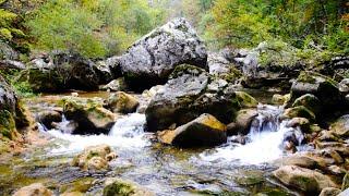 4k UHD Small Waterfall Flowing. Mountain Stream, Nature Sounds, White Noise to Sleep, Relax 10 hours