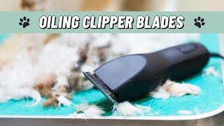 An Easy Way to Oil Clipper Blades