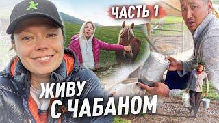 ЖИВУ С ЧАБАНОМ НА ДЖАЙЛОО! Кыргызстан! #vlog