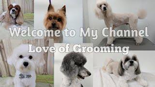 Welcome to my Channel ~ Love of Grooming ~