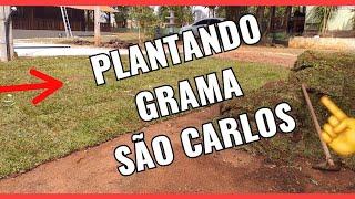 DICAS COMO  PLANTAR GRAMA SÃO CARLOS