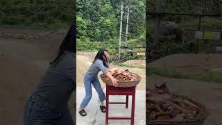 Non-Stop Family Fun   Your Daily Dose of Laugh-Out-Loud Comedy 