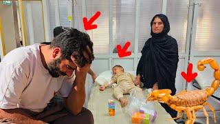 Documentary on Nomadic Life: Saifullah's Efforts to Forget the Incident of Two Years Ago
