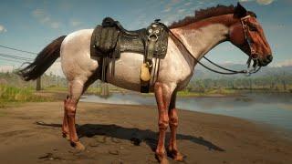 CABALLO DEADPOOL | RED DEAD REDEMPTION 2