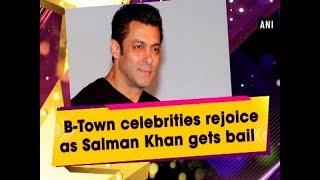 B-Town celebrities rejoice as Salman Khan gets bail  - Bollywood News
