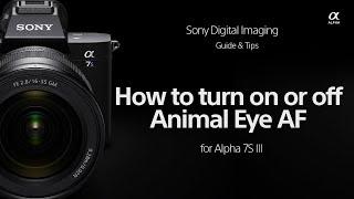 How to turn On / Off Animal Eye AF on the Sony ILCE-7SM3 / 7M4 /1 Camera