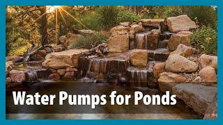 How to Choose a Koi Pond Water Pump