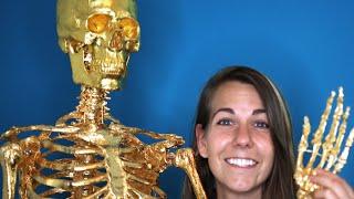 I Make a 24k Gold Life-Size Skeleton