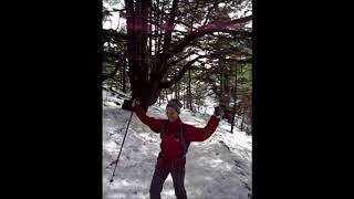 Snowsheing In Lebanon (Shouf Biosphere Reserve)