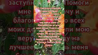 Молитва Николаю Чудотворцу об удаче:#молитва #псалмы #евангелиедня