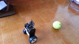 Raspberry Pi camera module openCV object tracking and following self balancing robot