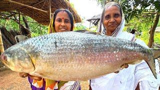 2.5 kg hilsha fish recipe | Biggest ilish fish cutting & cooking | কাঁচা ইলিশের পেটির ঝোল | villfood