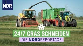 Schwaden, häckseln und einfahren: Trecker im Dauereinsatz | Die Nordreportage | NDR