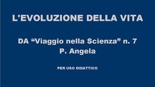 EVOLUZIONE DELLA VITA da Viaggio nella Scienza n  7