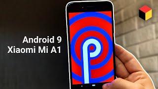 The full review of Android 9 Pie on Xiaomi Mi A1: bugs and comparison with Google Pixel