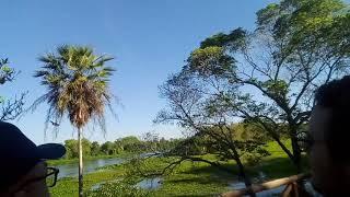 Pantanal ecotrips with client seeing toucans