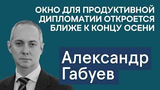 Габуев: Окно для продуктивной дипломатии РФ-Украина откроется осенью. Выйдут ли США из переговоров?