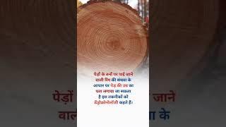 Tree ring_life hack_amazing fact_you dont know_#shorts #motivation #narendramodi