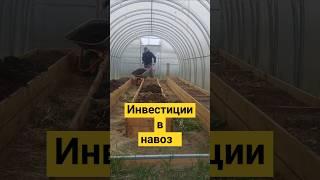 инвестиции в навоз #волосиха#деревня #природа#отдых