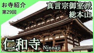 【お寺紹介29】仁和寺・京都 －真言宗御室派 総本山－ 10分でお寺を案内します。