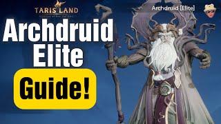 Tarisland Raid Archdruid (Elite) Guide Step by Step - Bard AOE Heal