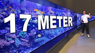 17 Meter MEERWASSERAQUARIUM + Privates XXL Becken  - Meine Reise nach Dänemark