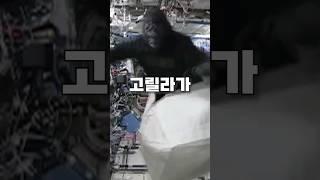 고릴라가 우주정거장에 난입했습니다